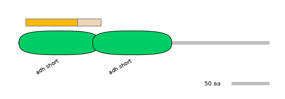 GgaINT0035018-EXC
