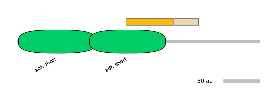 GgaINT0035021-EXC