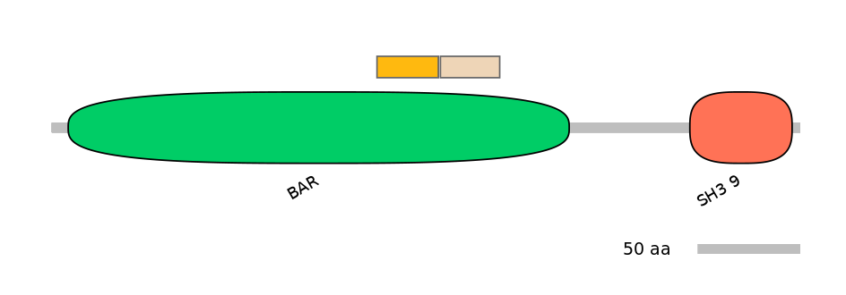 GgaINT0035640-EXC