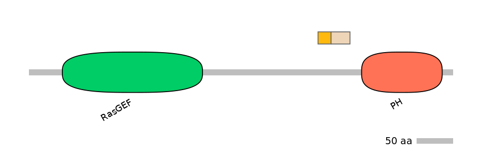 GgaINT0036719-EXC