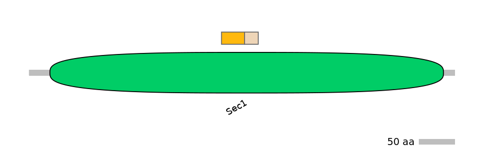 GgaINT0036886-EXC