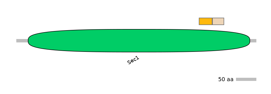 GgaINT0036892-EXC