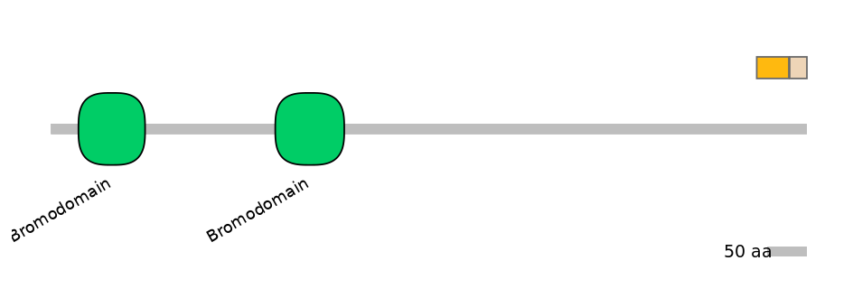 GgaINT0037009-EXC