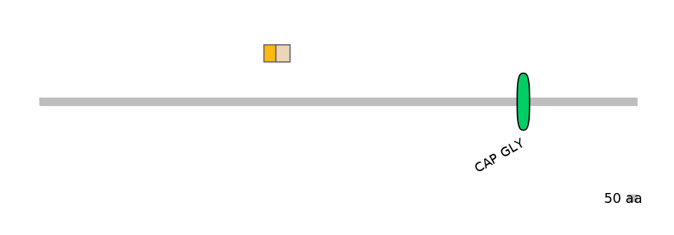 GgaINT0038285-EXC