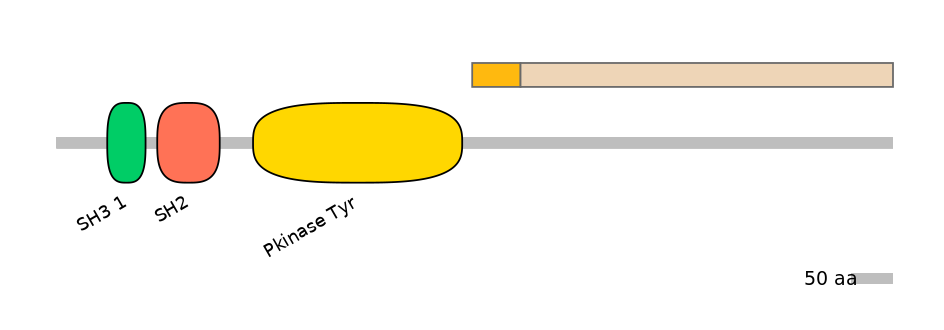GgaINT0038972-EXC