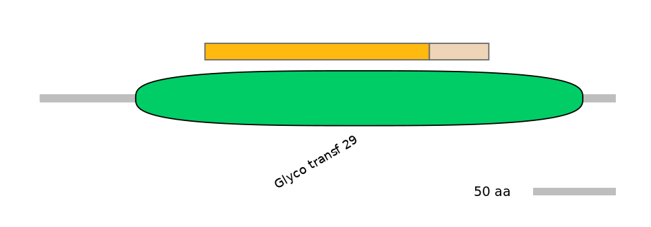 GgaINT0038984-EXC