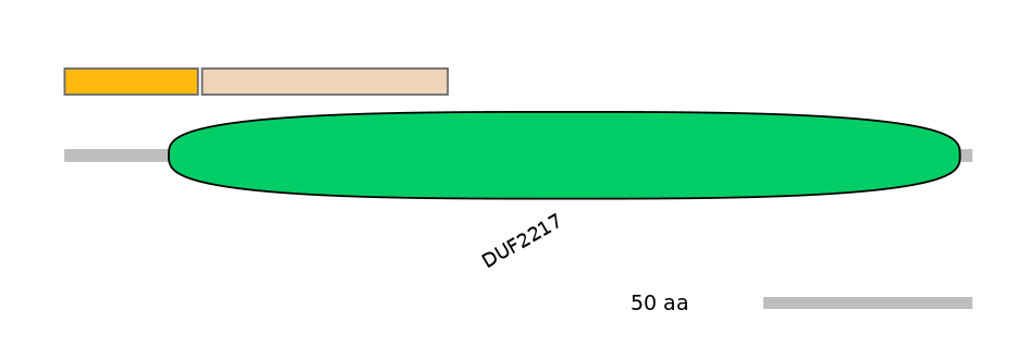 GgaINT0039121-EXC