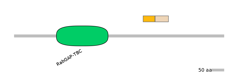 GgaINT0039474-EXC