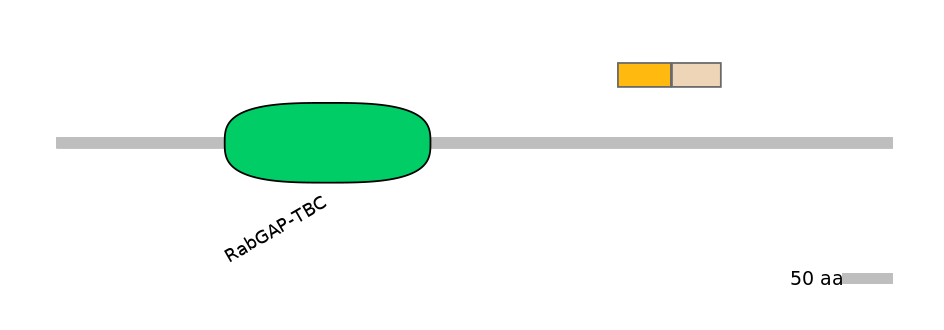 GgaINT0039475-EXC