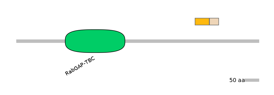 GgaINT0039476-EXC