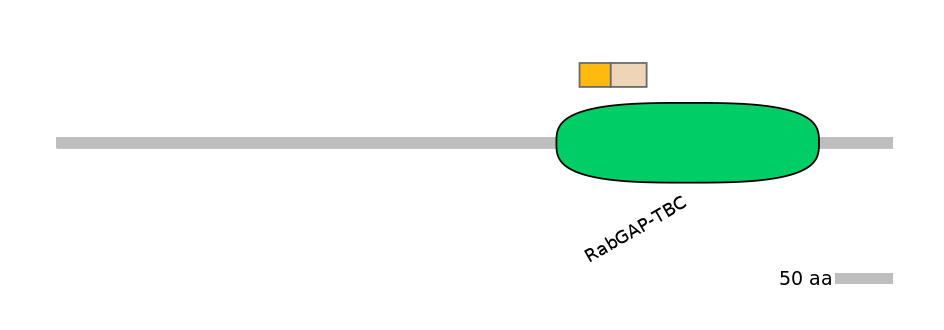 GgaINT0040078-EXC