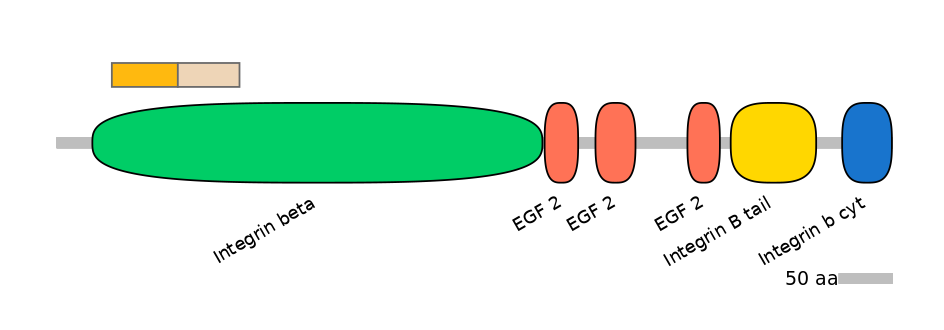 GgaINT0045904-EXC