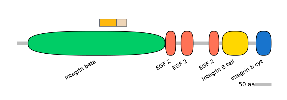 GgaINT0045907-EXC