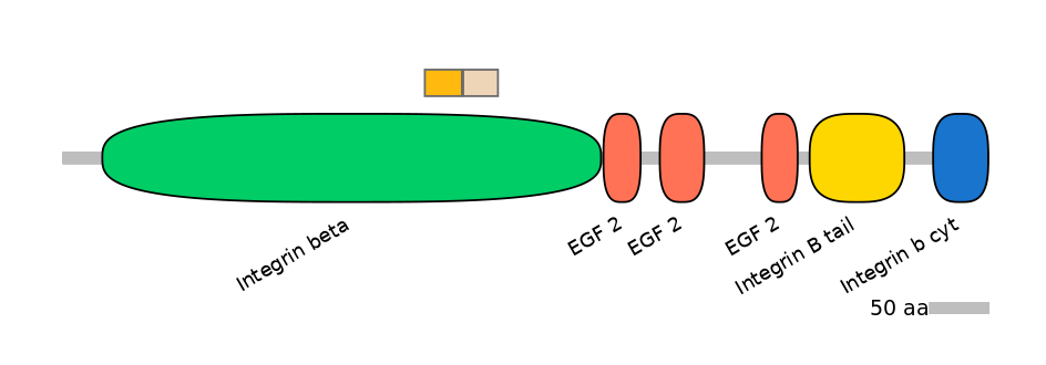 GgaINT0045908-EXC