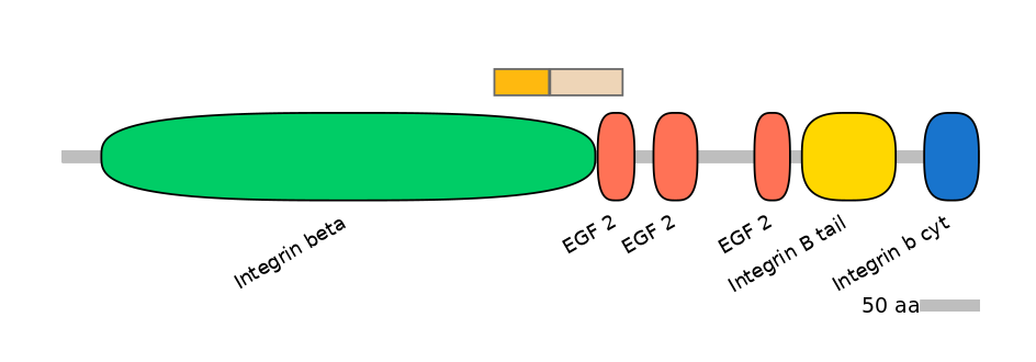 GgaINT0045910-EXC