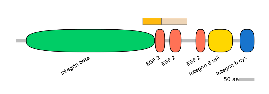 GgaINT0045911-EXC
