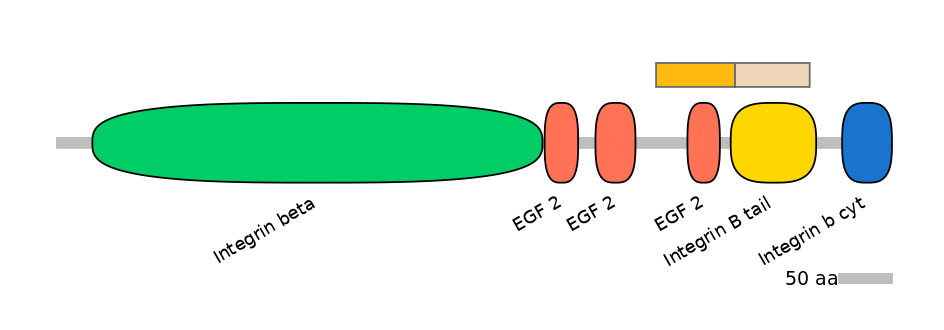 GgaINT0045913-EXC