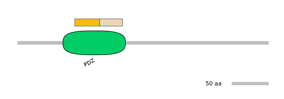 GgaINT0046067-EXC