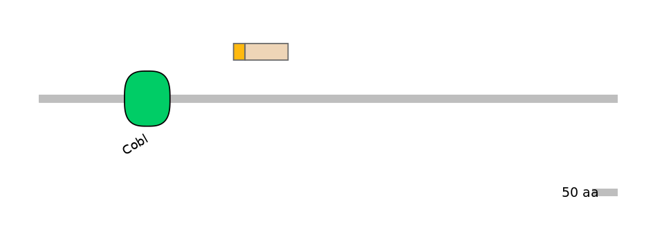 GgaINT0046144-EXC
