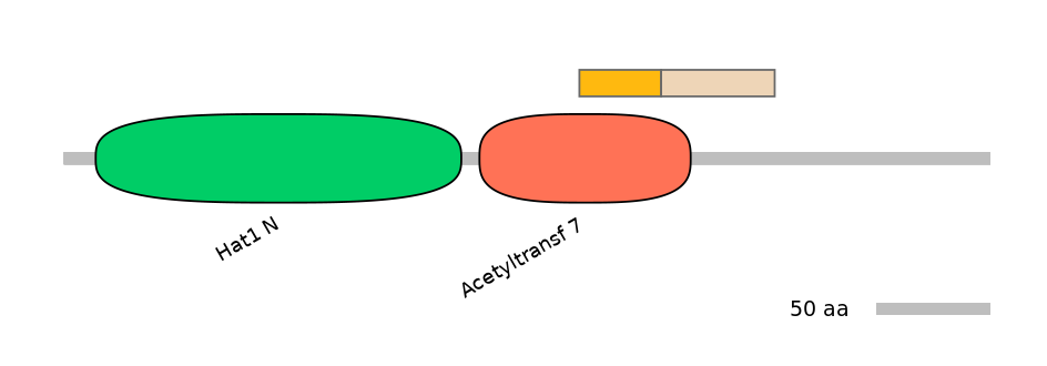 GgaINT0048053-EXC