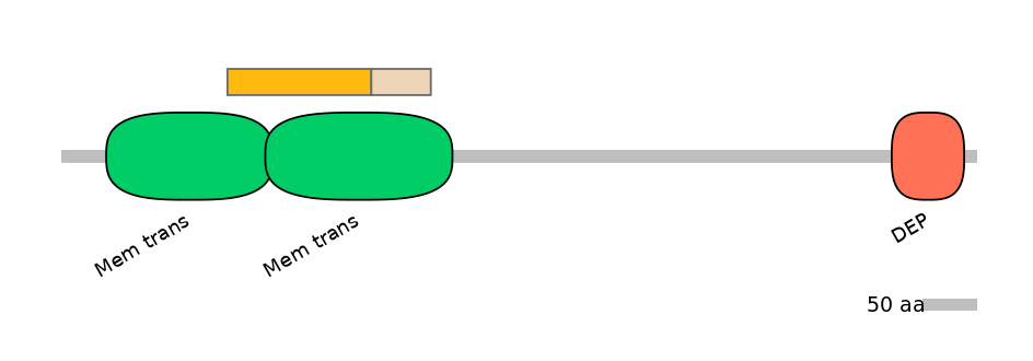 GgaINT0049021-EXC