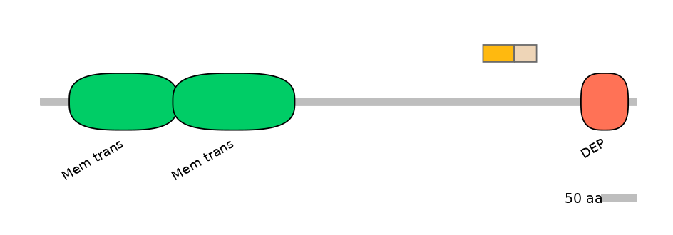 GgaINT0049031-EXC