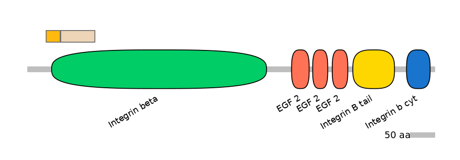 GgaINT0049486-EXC