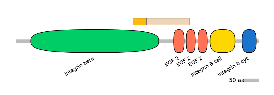 GgaINT0049493-EXC