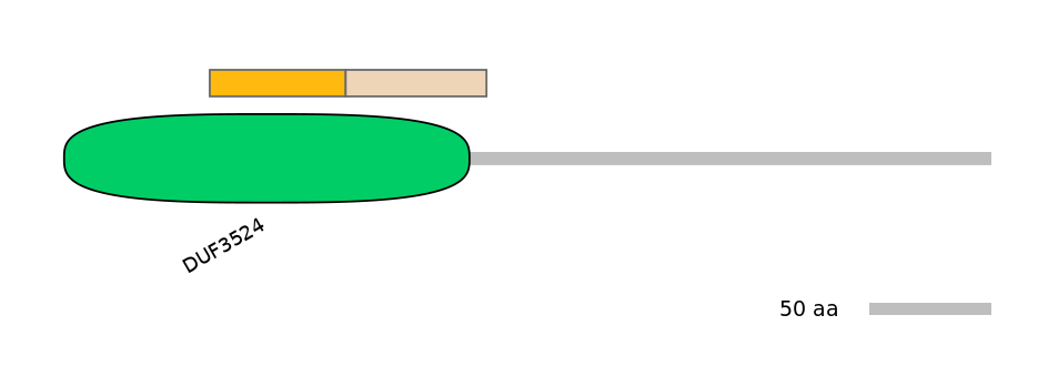 GgaINT0049502-EXC