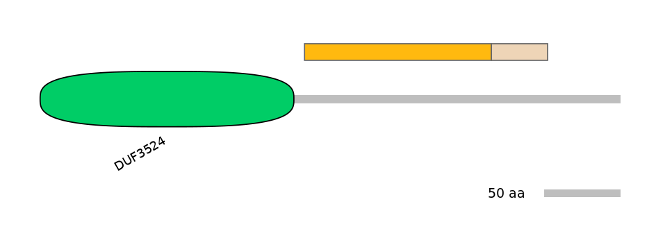 GgaINT0049504-EXC