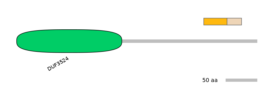 GgaINT0049505-EXC