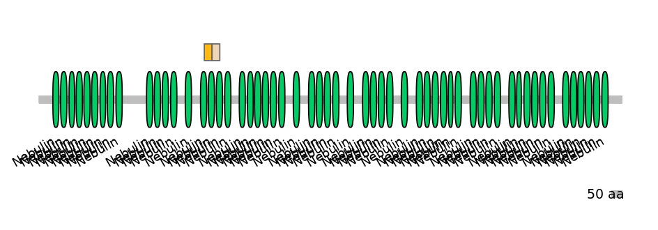 GgaINT0049713-EXC