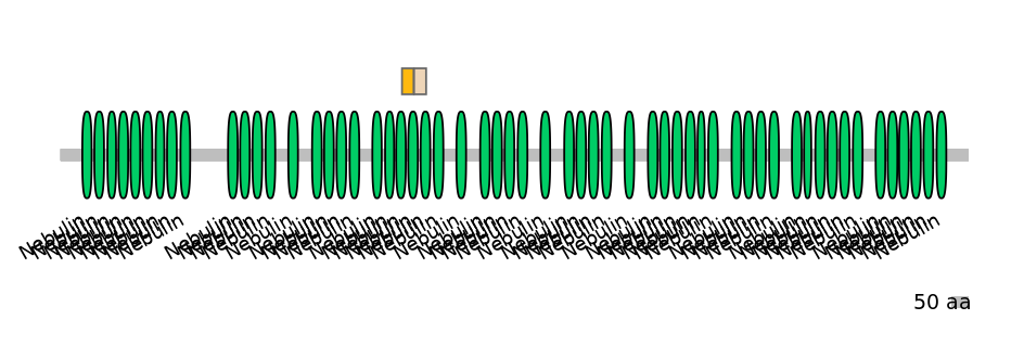 GgaINT0049717-EXC