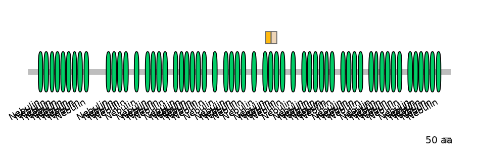 GgaINT0049725-EXC