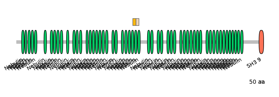 GgaINT0049787-EXC