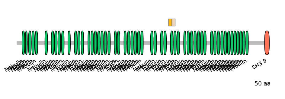 GgaINT0049797-EXC