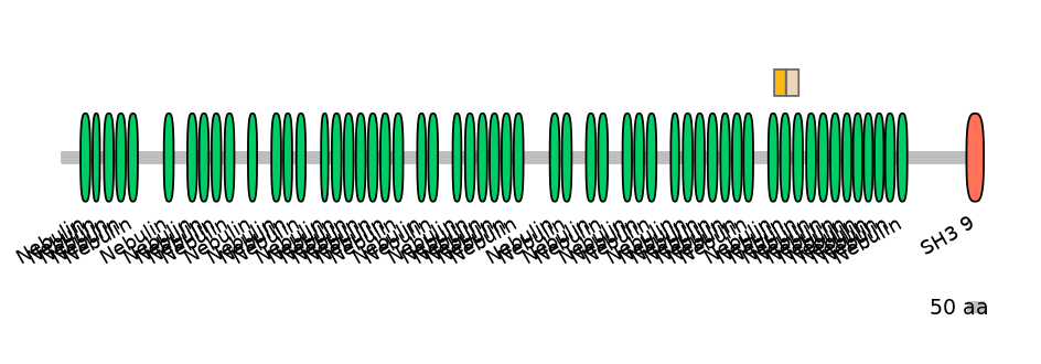 GgaINT0049811-EXC