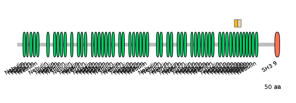 GgaINT0049816-EXC