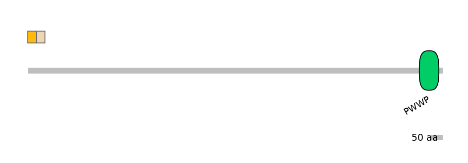 GgaINT0050072-EXC