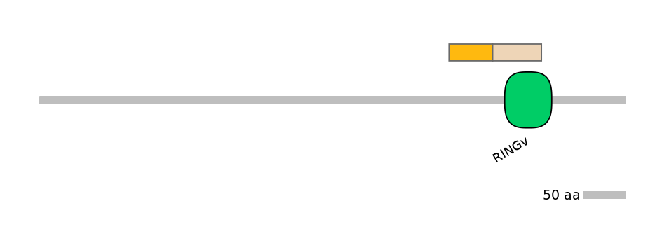 GgaINT0050124-EXC
