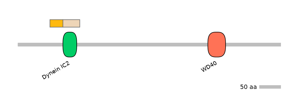 GgaINT0050355-EXC