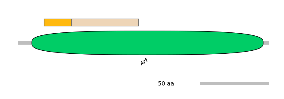 GgaINT0050592-EXC