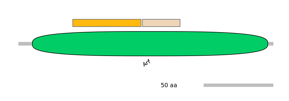 GgaINT0050594-EXC