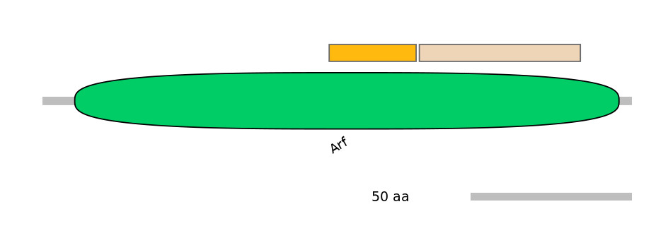 GgaINT0050595-EXC