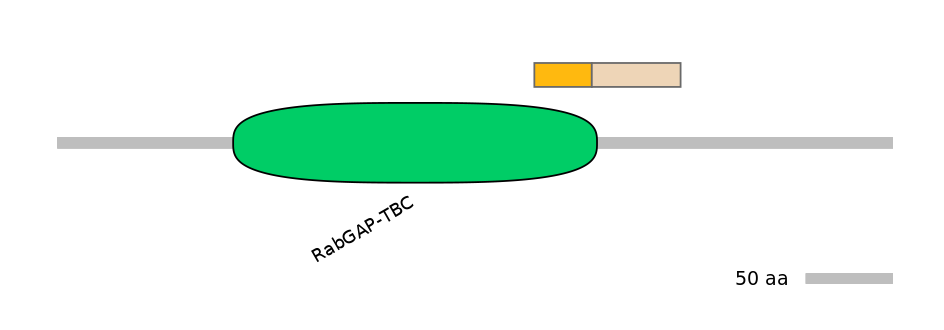 GgaINT0051932-EXC