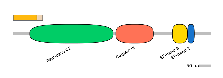 GgaINT0054912-EXC