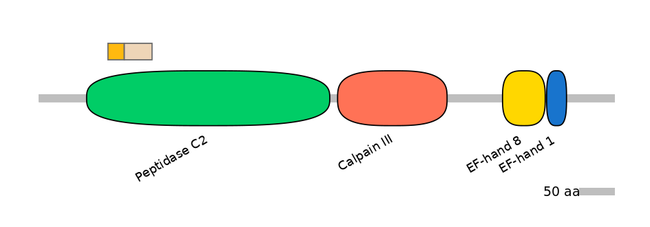 GgaINT0054913-EXC