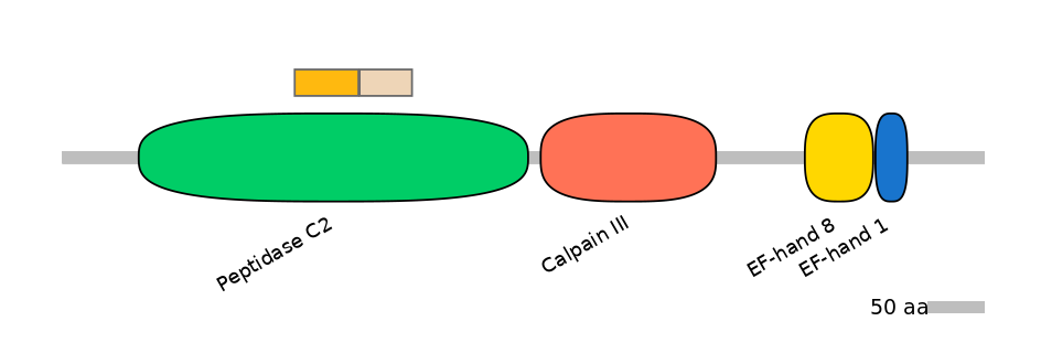 GgaINT0054916-EXC