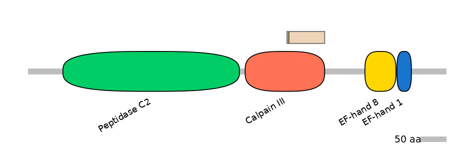 GgaINT0054922-EXC