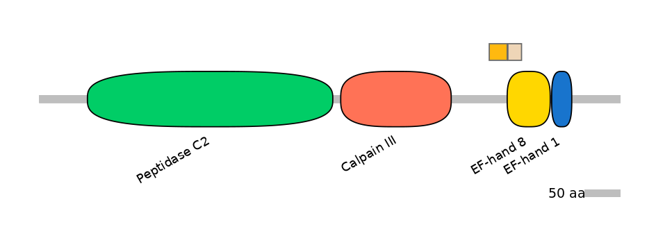 GgaINT0054927-EXC